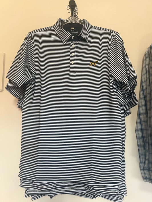Blue Stripe Polo