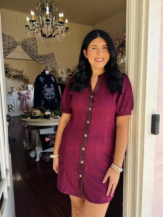 Leather X Suede Burgundy Dress