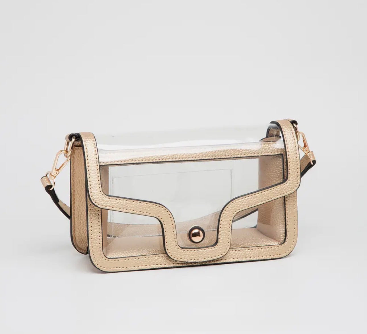 Bella Gold/Clear Purse