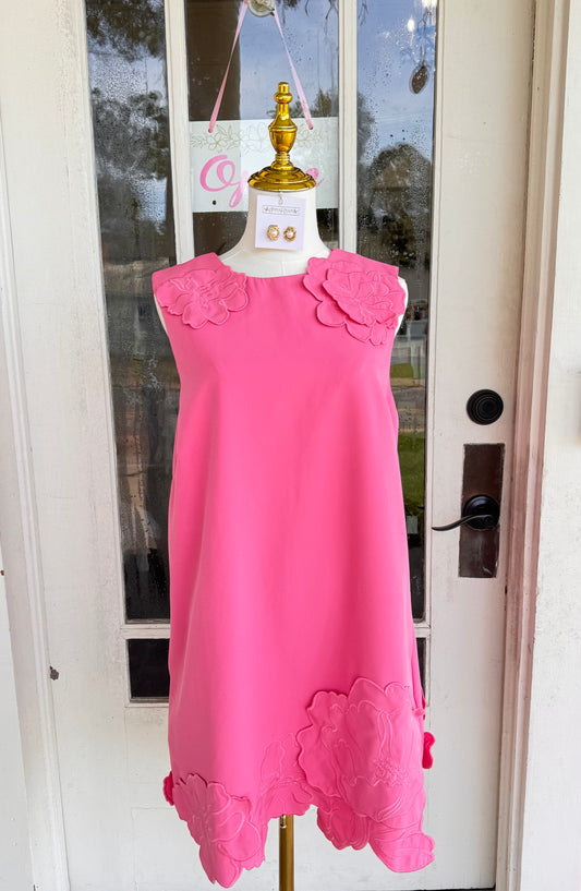 Pink & Petals Floral Appliqué Dress