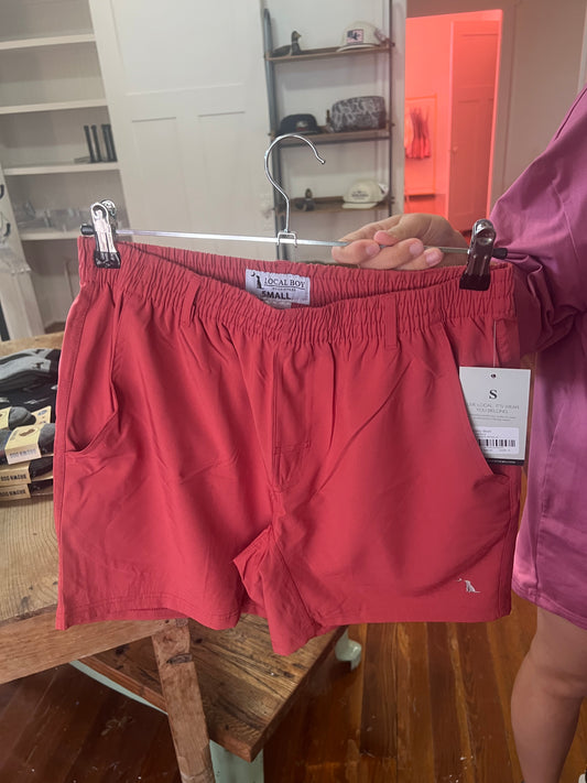 Wine Volley Shorts