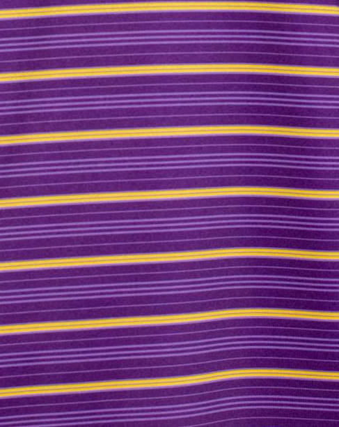 RS Sideline Stripe Polo Purple/Gold