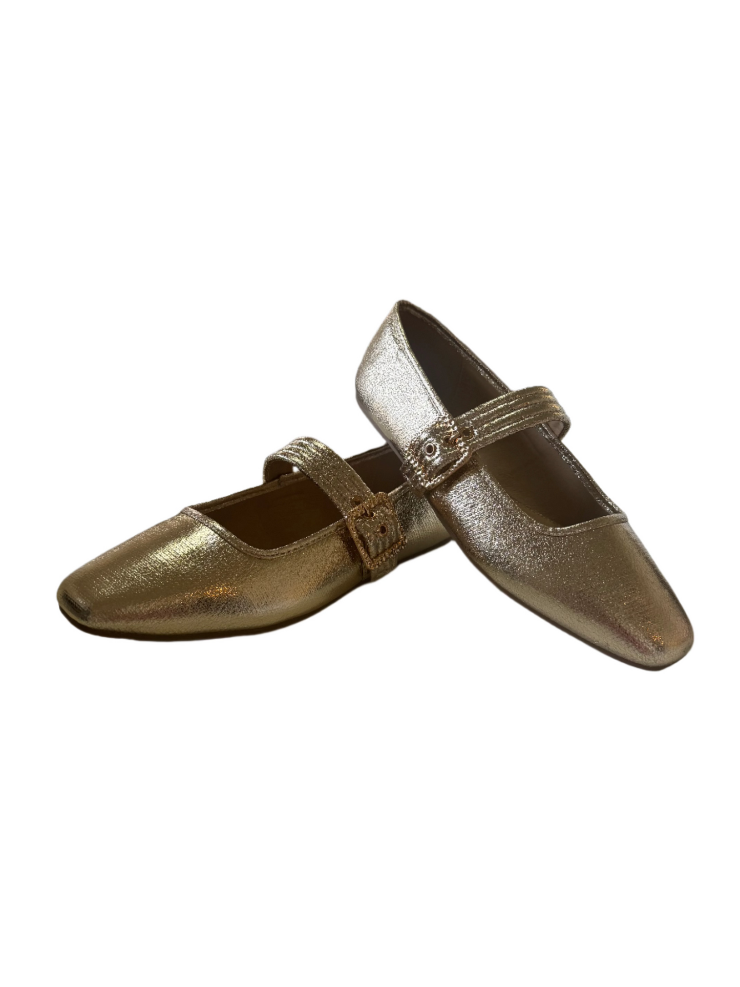 Sparrow Ballet Flats